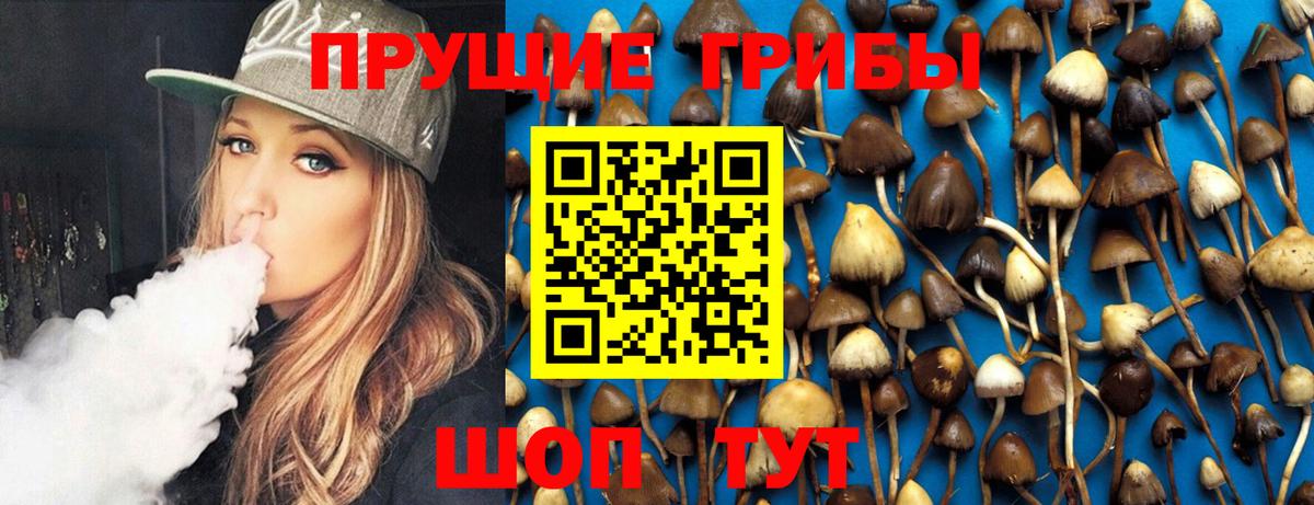 Галлюциногенные грибы Psilocybe  Вход с VPN  Рубцовск  Псилоцибиновые грибы MAGIC MUSHROOMS 